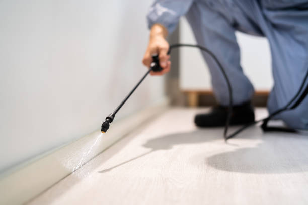 Licensed Termite Control service in Warrensville Heights, OH - Nex Pest Control