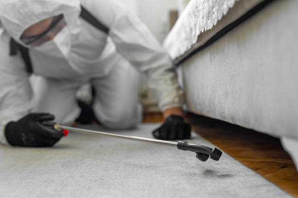 Professional Termite Control technician working in Warrensville Heights, OH