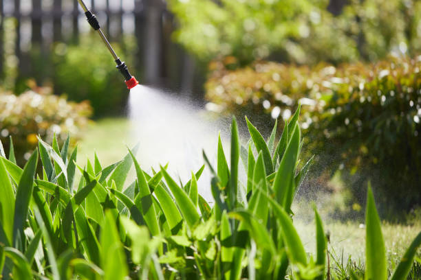 24/7 Emergency Termite Control experts in Warrensville Heights, OH