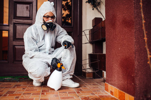 Reliable Termite Control contractor in Warrensville Heights, OH by Nex Pest Control