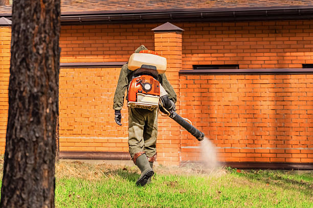 Trusted Cockroach Control service in Warrensville Heights, OH - Nex Pest Control